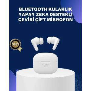 Akıllı Çeviri Teknolojili TWS Kulaklık Gürültü Engelleyici
