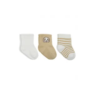Bistyle Dog Boy 3lü Penye Soket Çorap 10134 Ekru