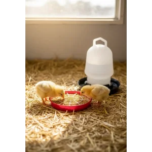 Civciv Suluk 0,75 ML Kaliteli Plastik + Tabak Yemlik