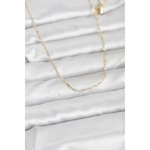 CM 14K Gold Renk 60 cm Zincirli Kadın Kolye