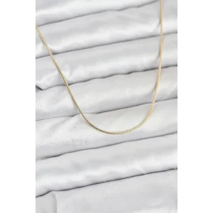 CM 14K Gold Renk Yılan Zincir Model Kadın Kolye