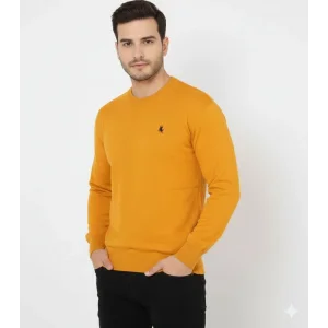 Erkek Bisiklet Yaka Nakış işlemeli Triko Kazak yumuşak dokulu Pamuklu ince Dokuma, uzun kollu Rahat Regular kalıp - Turuncu