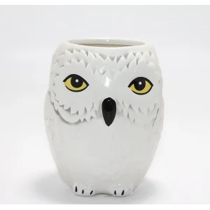 Harry Potter Hedwig Tasarım Porselen Kupa Bardak