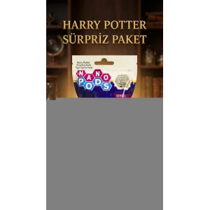 Harry Potter Koleksiyon Figür Seti 2li - Sürpriz Temalı Oyuncak