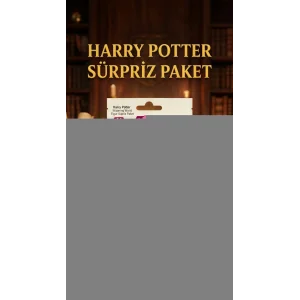 Harry Potter Koleksiyon Figür Sürpriz Paket Oyuncak 1 Adet