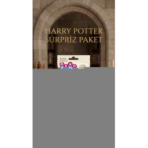 Harry Potter Koleksiyon Sürpriz Figür Oyuncak Seti