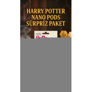 Harry Potter Koleksiyon Sürpriz Figür Seri Oyuncak