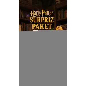 Harry Potter Sürpriz Figür Koleksiyonu Kutu Oyuncak