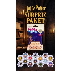 Harry Potter Sürpriz Figür Seti Çocuklar ve Koleksiyonerler İçin 2 Adet