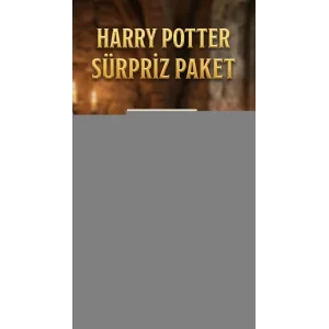 Harry Potter Temalı Sürpriz Figür Koleksiyonu Oyuncak Seti