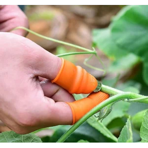 Pratik Baş Parmak Sebze Kesme Ayıklayıcı Erkek L Set