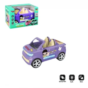 ZR169-2 KUT.ÇARP DÖN RENKLİ ARABA -VRD