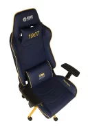 1907 Fenerbahçe Espor Edition Oyuncu Koltuğu