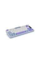 Hawk Gaming HK255 Membrane LCD RGB Kablosuz/Bluetooth Mavi Mor %75 Türkçe Gaming Klavye