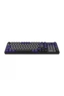 Hawk Gaming HK258 Membrane LCD RGB Kablosuz/Bluetooth Gri Mor Full Türkçe Gaming Klavye
