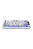 HK255 Membrane LCD RGB Kablosuz/Bluetooth Mavi Mor %75 Türkçe Gaming Klavye