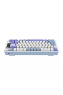 HK255 Membrane LCD RGB Kablosuz/Bluetooth Mavi Mor %75 Türkçe Gaming Klavye