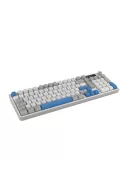 HK258 Membrane LCD RGB Kablosuz/Bluetooth Beyaz Mavi Full Türkçe Gaming Klavye