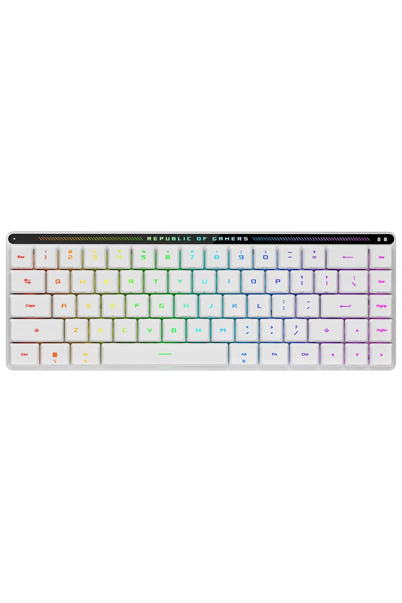 M603 FALCHION RX LP_RLRD_TR