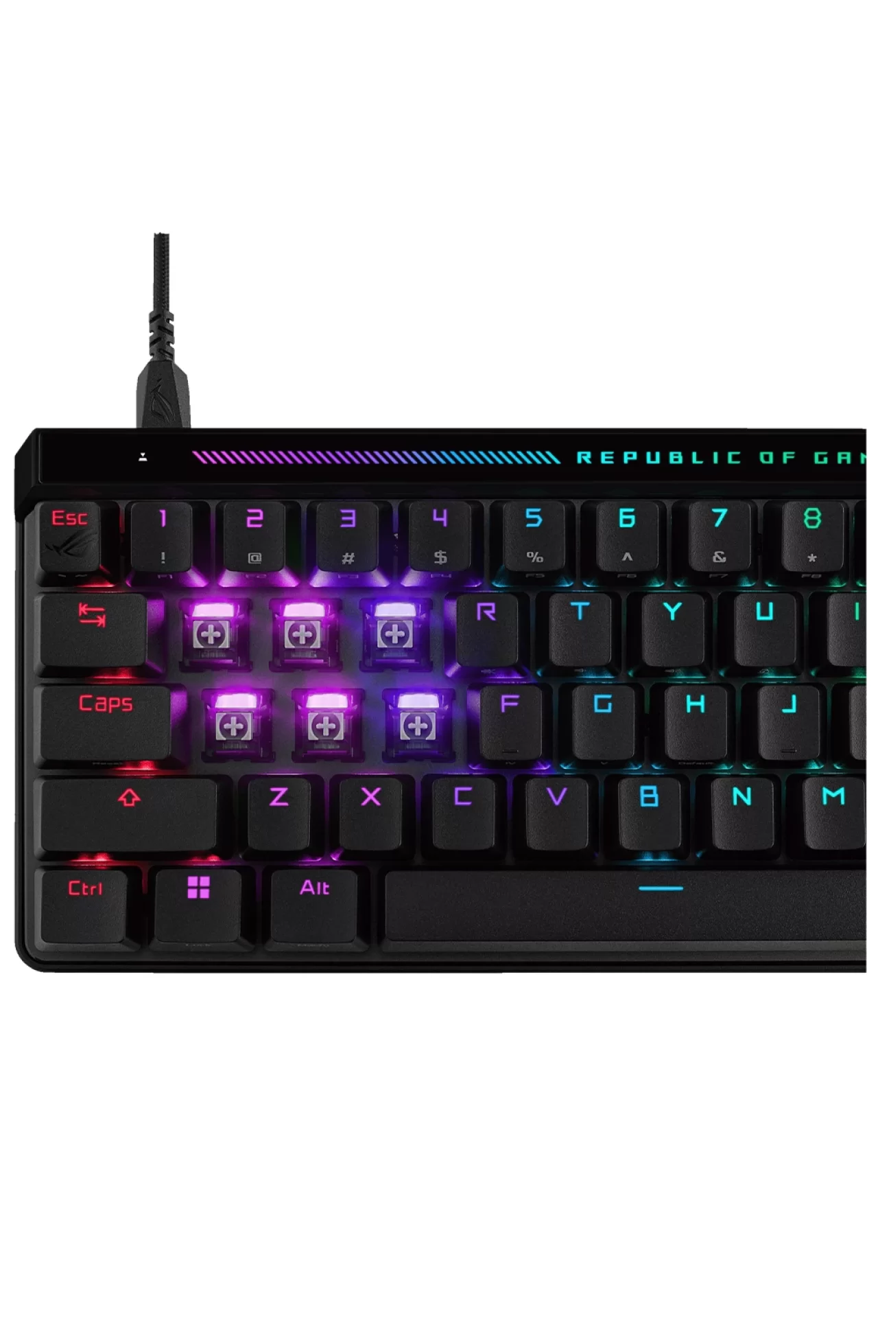 ROG FALCHION ACE HFX_PBT_UK