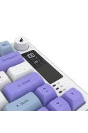 Hawk Gaming HK255 Membrane LCD RGB Kablosuz/Bluetooth Mavi Mor %75 Türkçe Gaming Klavye