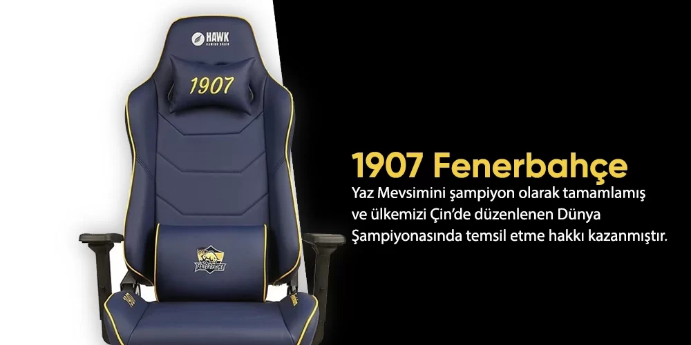 1907 Fenerbahçe E-Spor Klübü