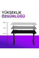 ION S Çift Motorlu Yükseklik Ayarlı RGB 140x70 Siyah Renk Çalışma ve Oyuncu Masası