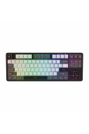 HK220 Membrane RGB Kablosuz/Bluetooth Siyah Beyaz TKL Türkçe Gaming Oyuncu Klavye