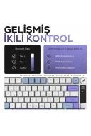 HK255 Membrane LCD RGB Kablosuz/Bluetooth Mavi Mor %75 Türkçe Gaming Oyuncu Klavye