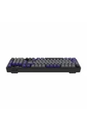 HK258 Membrane LCD RGB Kablosuz/Bluetooth Gri Mor Full Türkçe Gaming Oyuncu Klavye