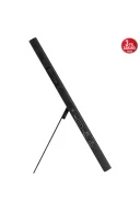 Asus ZenScreen 15.6 PA169CDV 10ms 60Hz USB-C