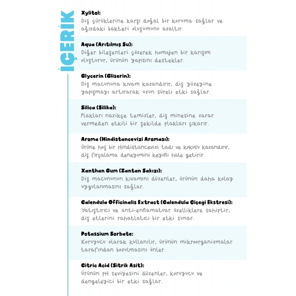 SET Hindistan Cevizi Diş Macun 3lü Set 50 gr