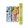 SET 3LÜ Zebra - Papağan - Yengeç Diş Fırçası