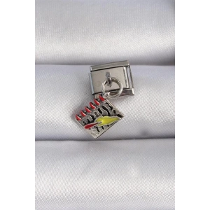 316L Çelik Gümüş Renk Sallantı Defter Figür Nomination Charm