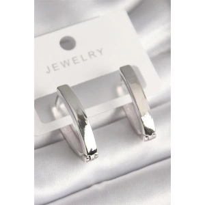 Pirinç Gümüş Renk Kadın Küpe