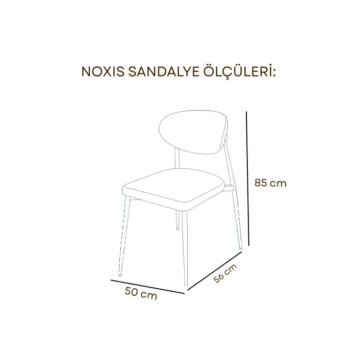 NOXIS İnox Sandalye - Modern Metal İskeletli Bahçe Sandalyesi