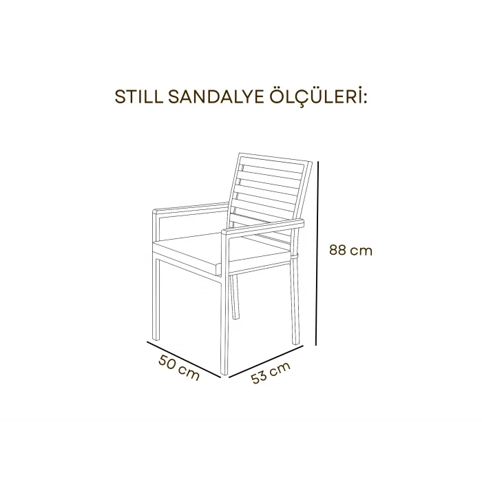 Still Sandalye - Beyaz Metal & Masif Ahşap