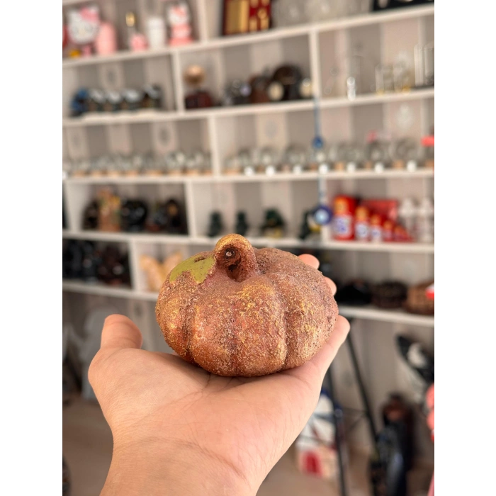 Dekoratif Balkabağı