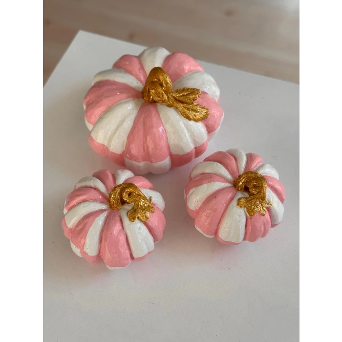 Pembe-Beyaz Dekoratif Balkabağı