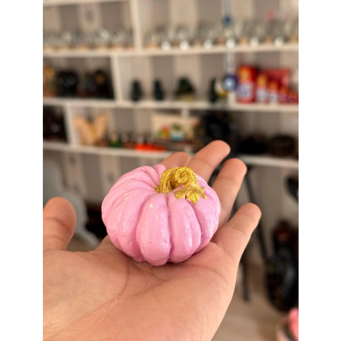 Pembe Dekoratif Balkabağı