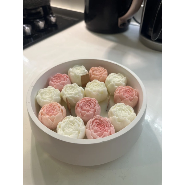 Pembe Beyaz Şakayık Bahçesi