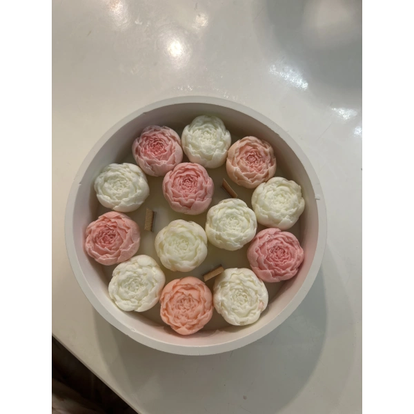 Pembe Beyaz Şakayık Bahçesi