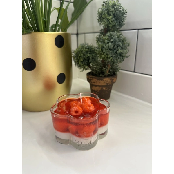 Ahuhududu Anne Reçeli