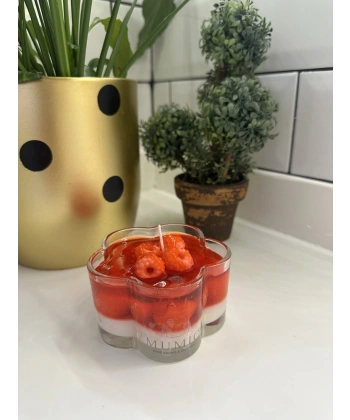 Ahuhududu Anne Reçeli