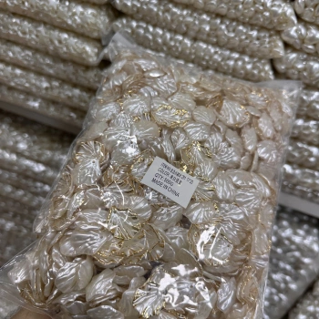 Yaldızlı İstiridye (500 gram)
