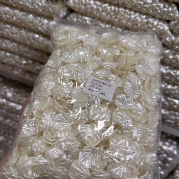 İstiridye Küçük Boy (500 gram)