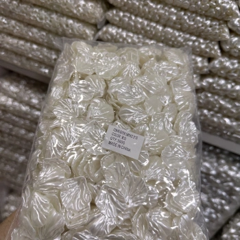 İstiridye Orta Boy (500 gram)