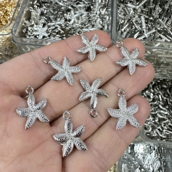 METAL GÜMÜŞ DENİZ YILDIZI (50 gram)