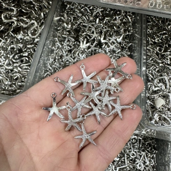 METAL GÜMÜŞ DENİZ YILDIZI (50 gram)