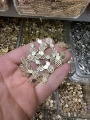 METAL SARI ANANAS (50 gram)